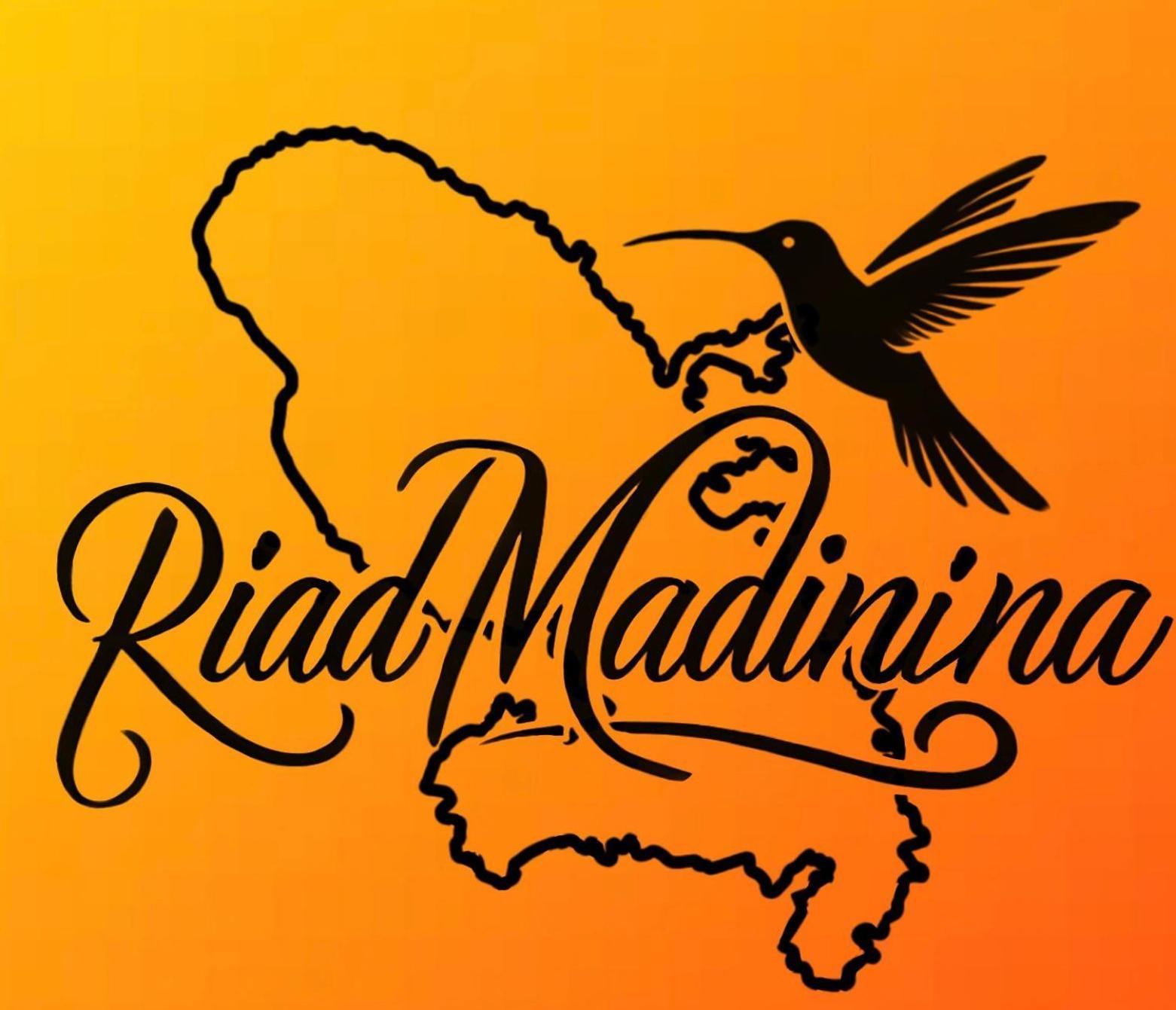 Riad Madinina مراكش المظهر الخارجي الصورة